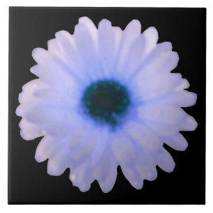 Weiße und blaue Marigold Tile Fliese