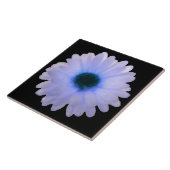 Weiße und blaue Marigold Tile Fliese (Seite)