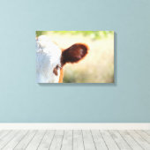 Weiße und braune Kuh auf grüner Wiese Leinwanddruck (Insitu (Holzboden))