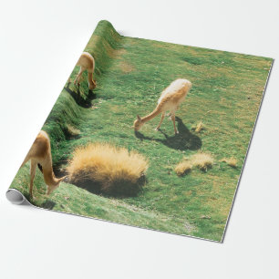 WEISSE UND BROWPFERDE AUF DEM GRÜNEN GRASS FELD GESCHENKPAPIER