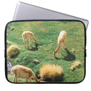 WEISSE UND BROWPFERDE AUF DEM GRÜNEN GRASS FELD LAPTOPSCHUTZHÜLLE
