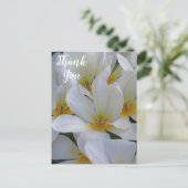 Weiße und gelbe Blumen Danke Postkarte (Stehend Vorderseite)
