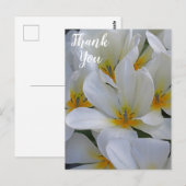 Weiße und gelbe Blumen Danke Postkarte (Vorne/Hinten)