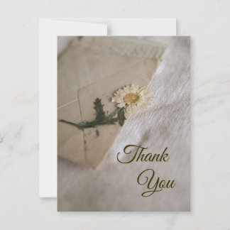 Weiße und gelbe Gänseblume Vintage-Brief Postkarte