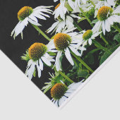 Weiße und gelbe Milchsorten auf schwarz Seidenpapier (Ausschnitt)