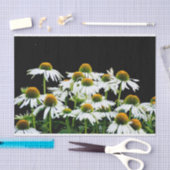 Weiße und gelbe Milchsorten auf schwarz Seidenpapier (Handwerk)