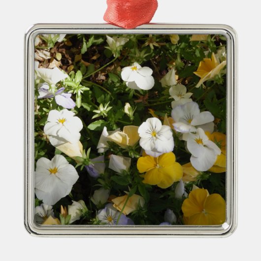 Weiße und gelbe Stiefmütterchen Silbernes Ornament (Vorne)