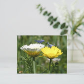 Weiße und gelbe Wildblume Postkarte (Stehend Vorderseite)