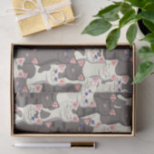 Weiße und graue Katzen Seidenpapier (Geschenk)