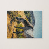 Weiße und graue Pferdeweiden mit Sonne abschimmern Puzzle (Horizontal)
