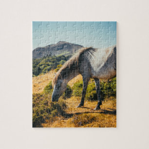 Weiße und graue Pferdeweiden mit Sonne abschimmern Puzzle