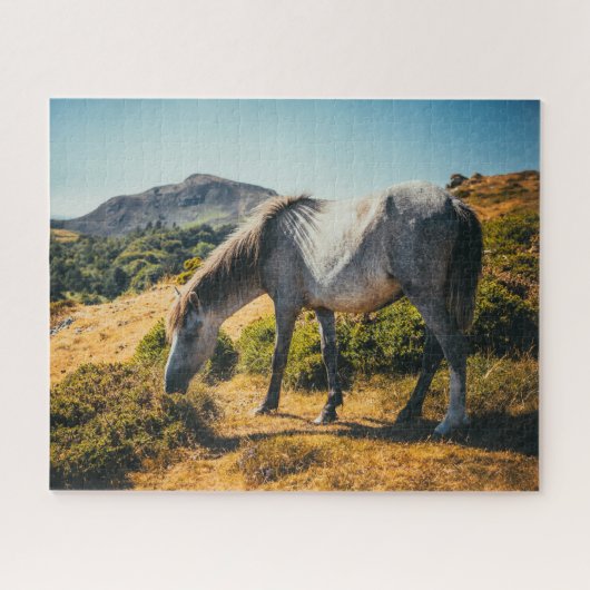 Weiße und graue Pferdeweiden mit Sonne abschimmern Puzzle (Horizontal)