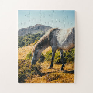 Weiße und graue Pferdeweiden mit Sonnenschein nach Puzzle