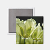 Weiße und grüne, variierte Tulpen DSC0856 Magnet (Vorderseite/Rückseite)