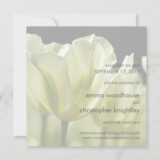 Weiße und grüne, variierte Tulpen DSC0856 Save The Date (Rückseite)