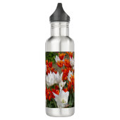 Weiße und Ingwer Tulpen im Garten Edelstahlflasche (Links)