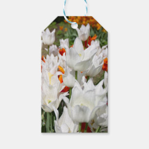 Weiße und Ingwer Tulpen im Garten Geschenkanhänger