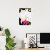 Weiße und Lila Cattleya Orchid Poster (Heimbüro)
