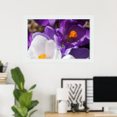 Weiße und Lila Frühlingsblumen Poster (Heimbüro)