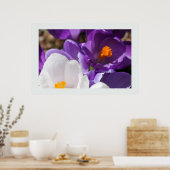 Weiße und Lila Frühlingsblumen Poster (Küche)