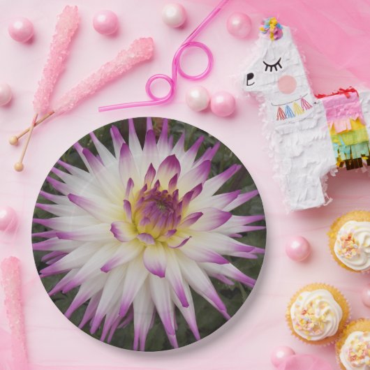 Weiße und Lila Kaktus Dahlia Floral Pappteller (Party)