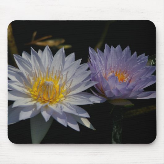 Weiße und Lila Lotus-Wasserlilie-Mauspad Mousepad (Vorne)