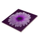 Weiße und Lila Marigold Tile Fliese (Seite)