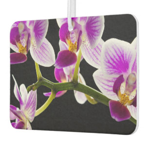 Weiße und lila Orchidee Autolufterfrischer