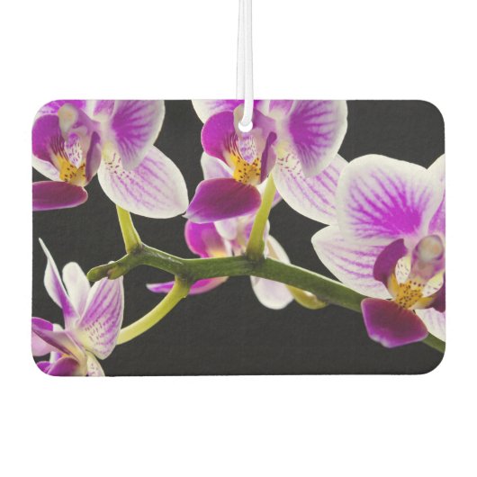 Weiße und lila Orchidee Autolufterfrischer (Vorderseite)