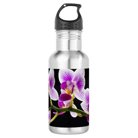 Weiße und lila Orchidee Edelstahlflasche (Vorderseite)