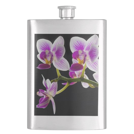 Weiße und lila Orchidee Flachmann (Vorderseite)