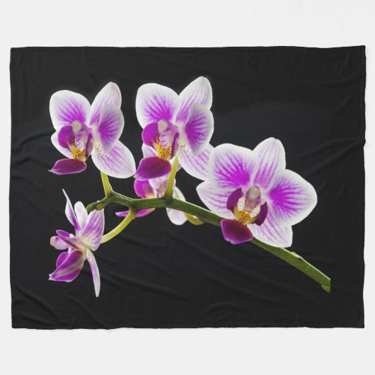 Weiße und lila Orchidee Fleecedecke (Vorderseite (Horizontal))