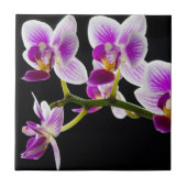 Weiße und lila Orchidee Fliese (Vorderseite)