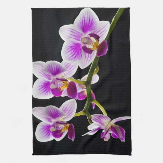 Weiße und lila Orchidee Geschirrtuch (Vertikal)