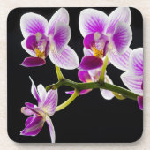 Weiße und lila Orchidee Getränkeuntersetzer (Vorderseite)