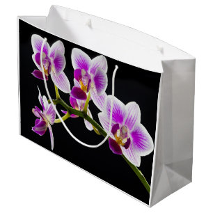 Weiße und lila Orchidee Große Geschenktüte