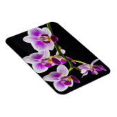 Weiße und lila Orchidee Magnet (Rechte Seite)