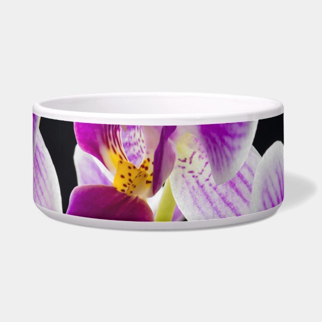 Weiße und lila Orchidee Napf (Vorderseite)