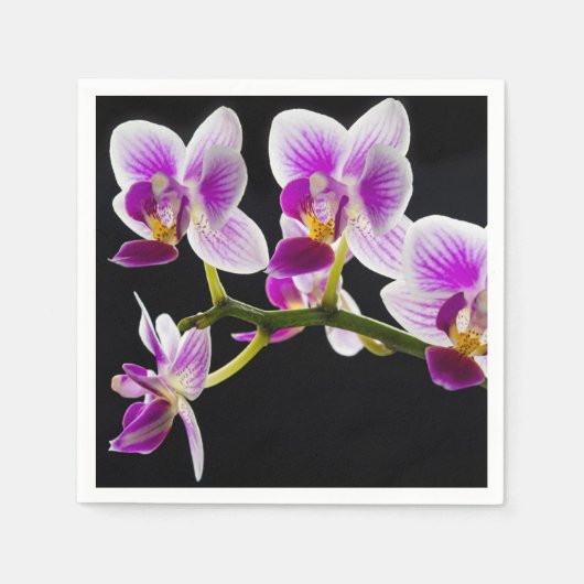 Weiße und lila Orchidee Serviette (Vorderseite)