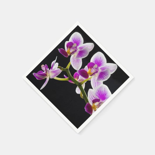 Weiße und lila Orchidee Serviette (Ecke)