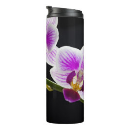 Weiße und lila Orchidee Thermosbecher