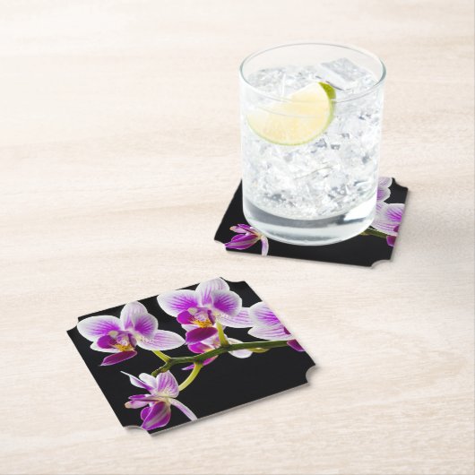 Weiße und lila Orchidee Untersetzer (Vor Ort)