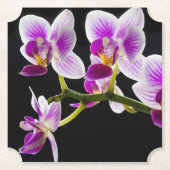 Weiße und lila Orchidee Untersetzer (Vorderseite)