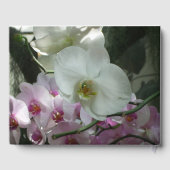 Weiße und Lila Orchideen Gästebuch (Rückseite)