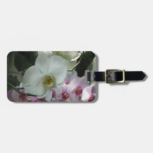 Weiße und Lila Orchideen Gepäckanhänger (Vorderseite horizontal)