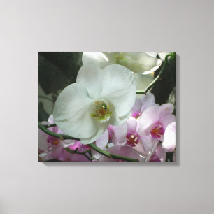 Weiße und Lila Orchideen Leinwanddruck