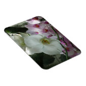 Weiße und Lila Orchideen Magnet (Rechte Seite)