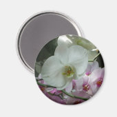 Weiße und Lila Orchideen Magnet (Vorderseite/Rückseite)