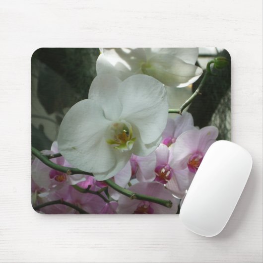 Weiße und Lila Orchideen Mousepad (Mit Mouse)
