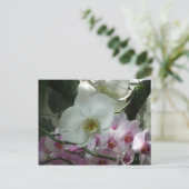 Weiße und Lila Orchideen Postkarte (Stehend Vorderseite)